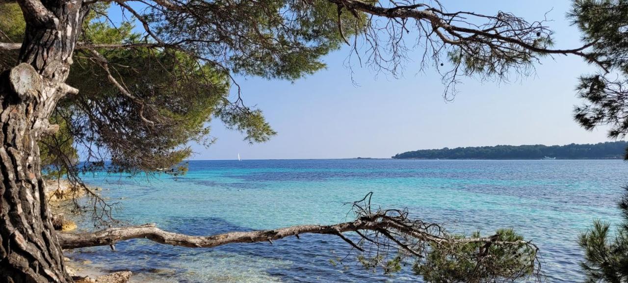 Les Grenadines Du Samedi Au Samedi Apartamento Antibes Exterior foto